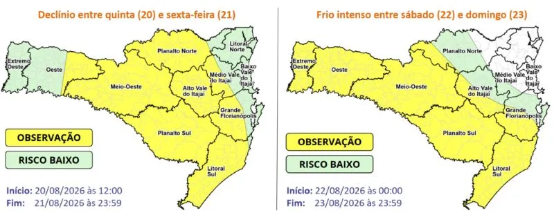 image-221-1024x398-convertido