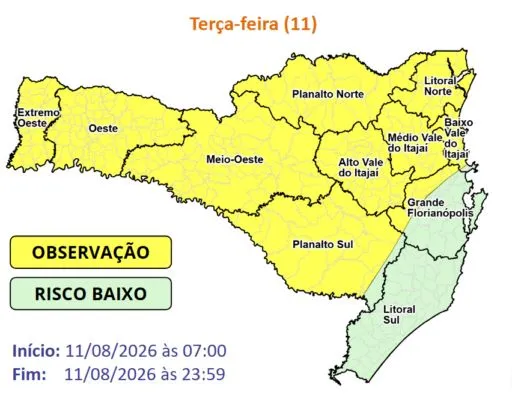 image-88-1024x394-convertido