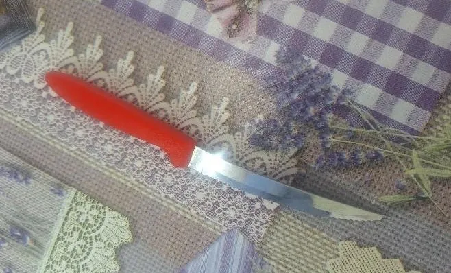 policia-adolescente-e-ferida-com-faca-por-colega-durante-briga-em-escola-2-368-convertido