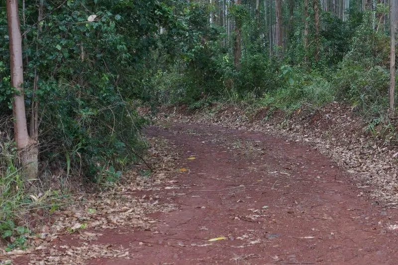 Estrada de terra - interior-convertido
