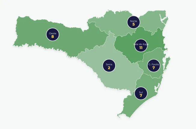 politica-com-oito-deputados-eleitos-oeste-tera-segunda-maior-bancada-da-alesc-a-partir-de-2027-1-382-convertido
