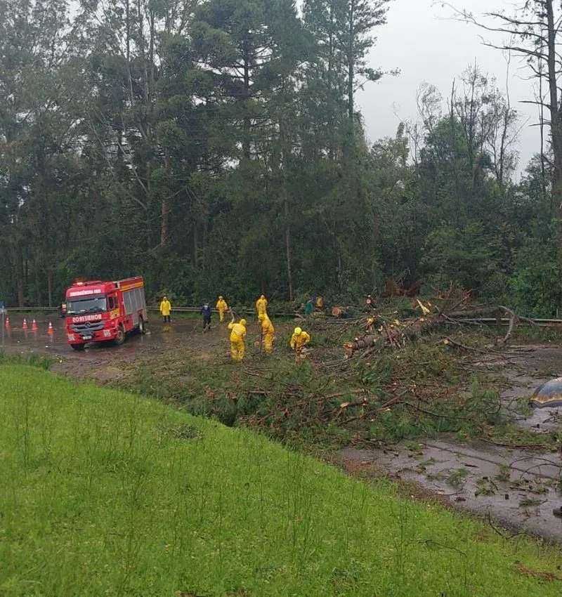 transito-carro-e-atingido-por-arvore-durante-temporal-em-videira-4-164-convertido